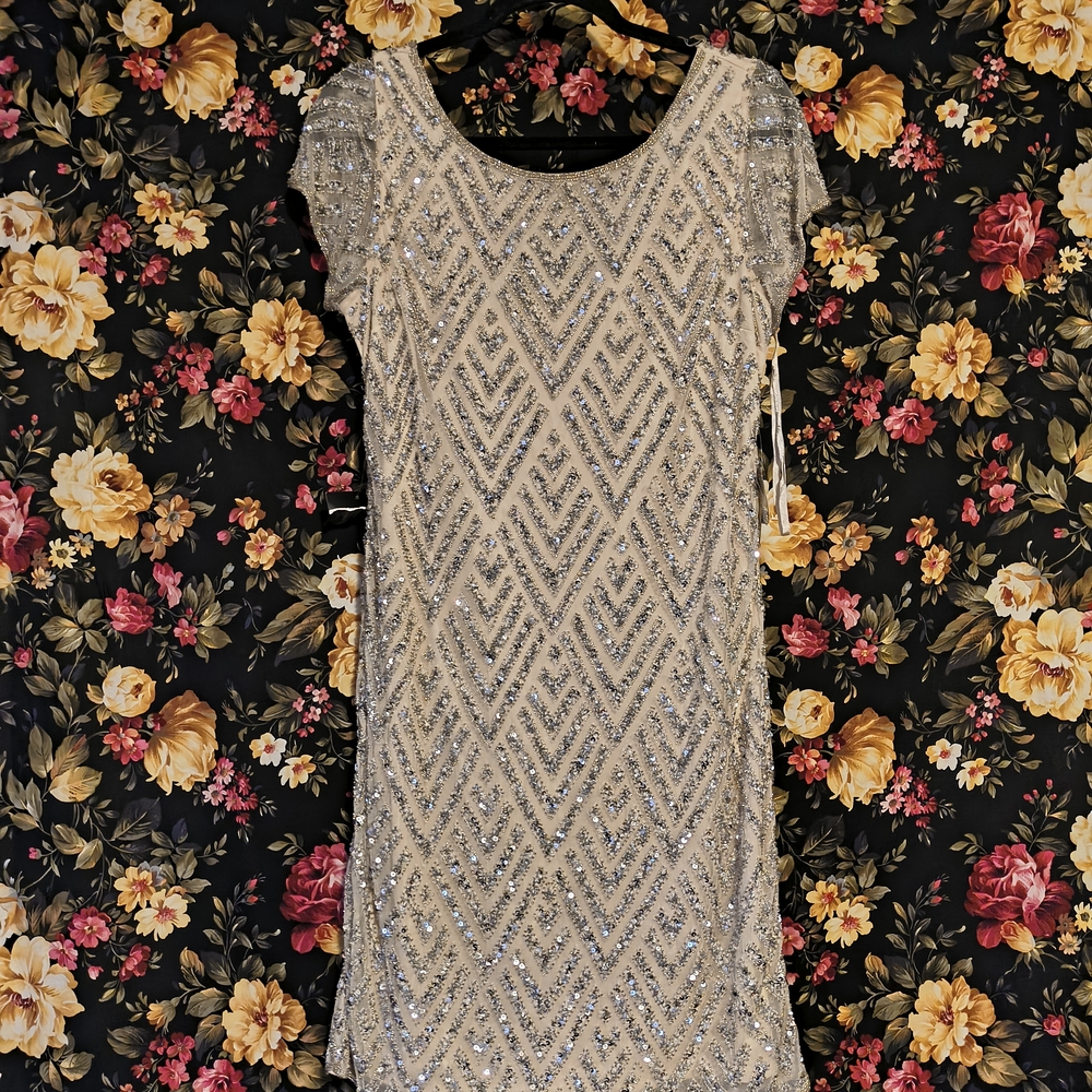 Pisarro Nights Sparkling Champagne  Mini Dress